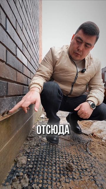 Видели такое?