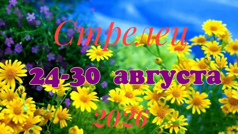Стрелец♐ Таро- прогноз на неделю с 24 по 30 августа 🕊