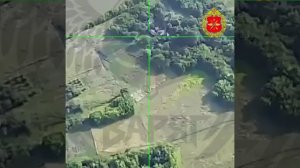 Наша стальная стая включает ночной режим