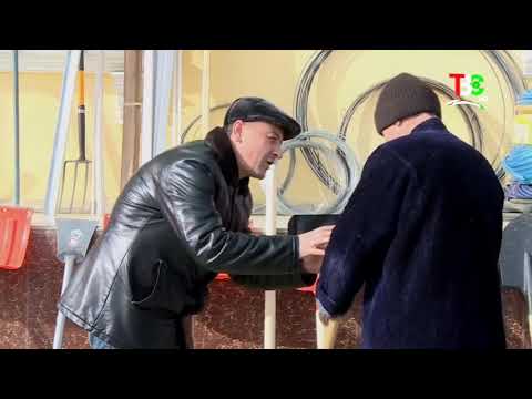 Гарибшо кампания камбагал бела дар кучош мезана 2020