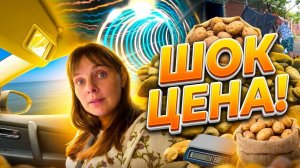 «ЭТО ОБДИРАЛОВКА» ПОСТАВИЛИ ДВЕРЬ, СТРАННЫЙ КОРЕНЬ , УЕХАЛИ НА МОРЕ. ИЗ ГОРОДА В ДЕРЕВНЮ 946 серия