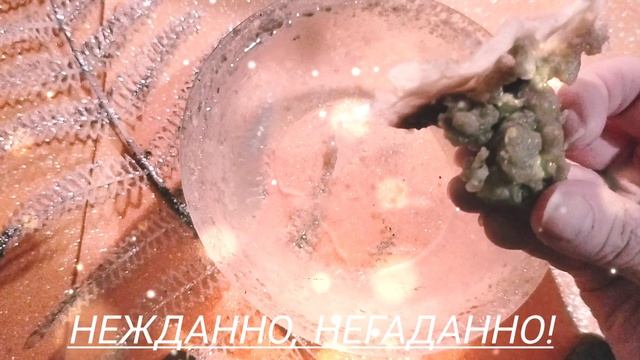 Нежданно,негаданно!✨✨✨✨