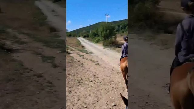 19.08.2026 года. Посёлок Сукко. Юг России. Воложанин Александр с женой Еленой Прекрасной. Конная