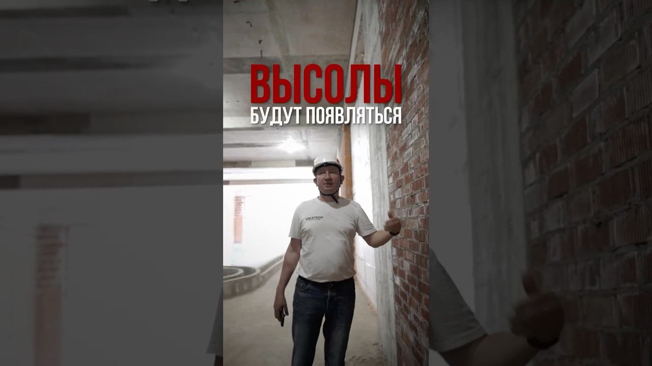 Почему на кирпиче появляются высолы и когда их убирать?