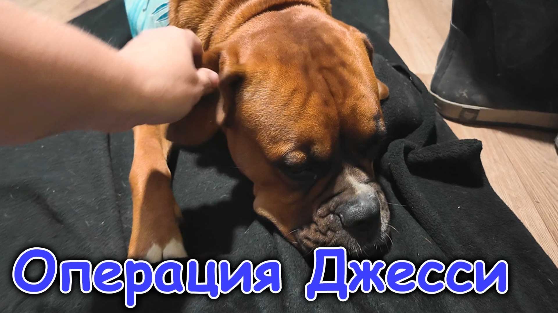 Операция у Джесси. Покупки. Мой День крещения. (08.26г.) Семья Бровченко.