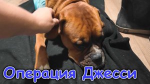 Операция у Джесси. Покупки. Мой День крещения. (08.26г.) Семья Бровченко.