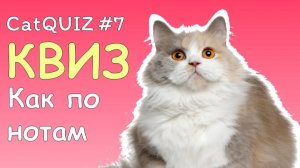 CatQUIZ #7 • КАК ПО НОТАМ | МУЗЫКАЛЬНЫЙ КВИЗ