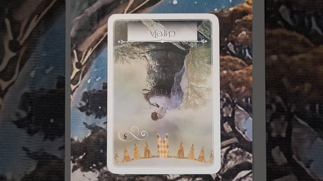 19 Августа 2026 Мудрость Оракула 🪷