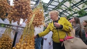 В Москве открылись Дни культуры ОАЭ