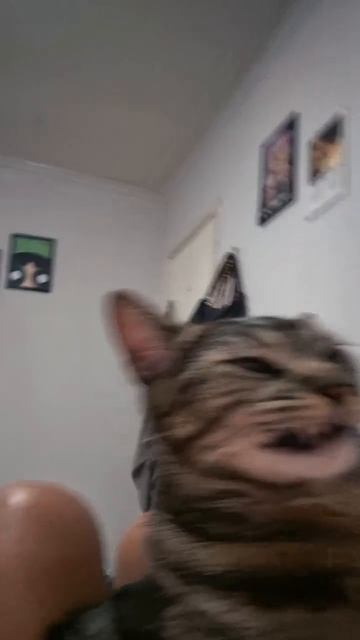 -646931704534416062