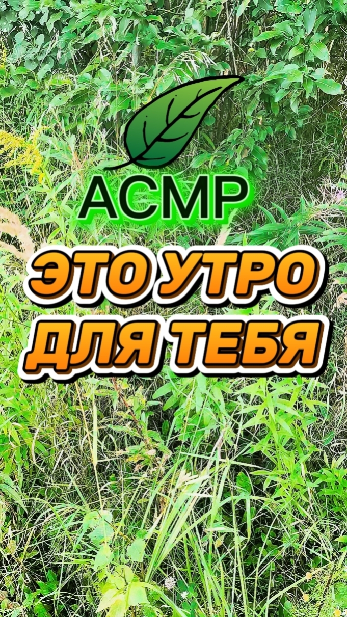 ЭТО УТРО ДЛЯ ТЕБЯ. АСМР