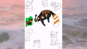 котостроничька для туманой зари