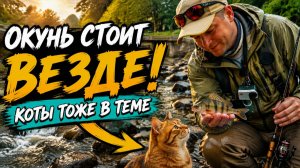 Легендарная ШИПУЧКА в дождь: окунь клюёт в каждой ямке! Мормышинг и наноджиг