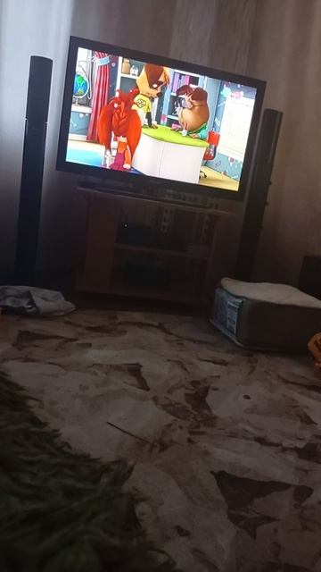 просто видео