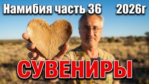часть  36. сувениры из задницы животного. обратная дорога. намибия