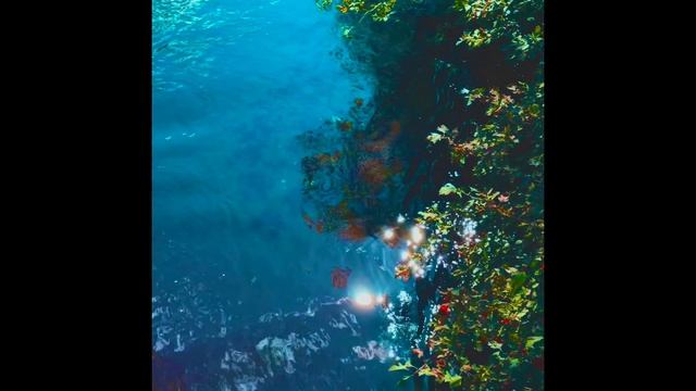 В лесу у Некрасовского моста🌲🌱🌳🏞️🌾мальки 🐟🐟🐟🐟в ручье, большие птицы в небе 🦅🦅🦅🦅🦅🦅🦅