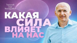 Деятельность в разных гунах (Торсунов О. Г.)