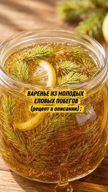 Рецепт из еловых побегов :