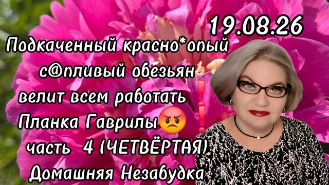 4 часть. Подкаченный красно*опый с@пливый обезьян велит всем работать😡❗️Планка Гаврилы❗️
