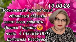 4 часть. Подкаченный красно*опый с@пливый обезьян велит всем работать😡❗️Планка Гаврилы❗️