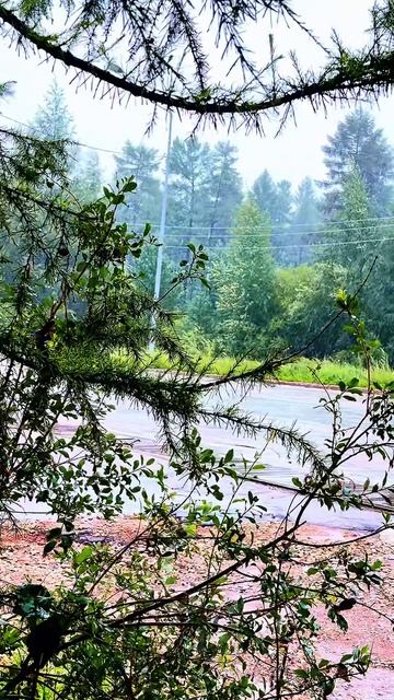 Августовский день ☔️