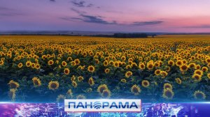 ⚡️От поля до тарелки: как пестициды могут влиять на урожай?