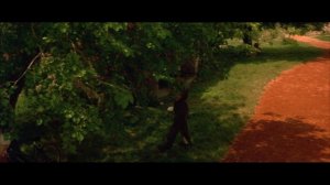 Ускользающая красота (1995) / Stealing Beauty