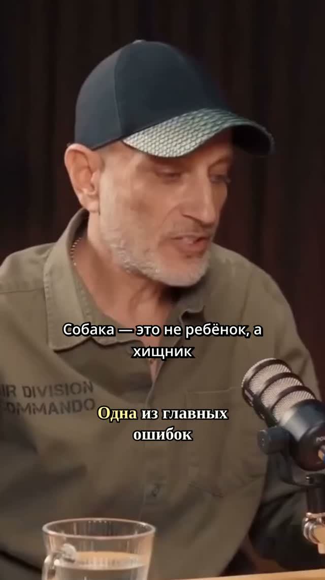 Ошибка хозяев-видеть в собаке ребёнка