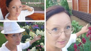 Видео привет с 6 соток 18 августа 2026 года. Яблочный спас.... С праздником Преображения Господня!