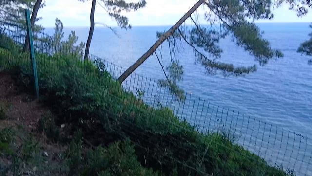Интнресные тропинки на кемпенге в Архипо-Осиповке,  на склоне Утёса сосны ростут в бок