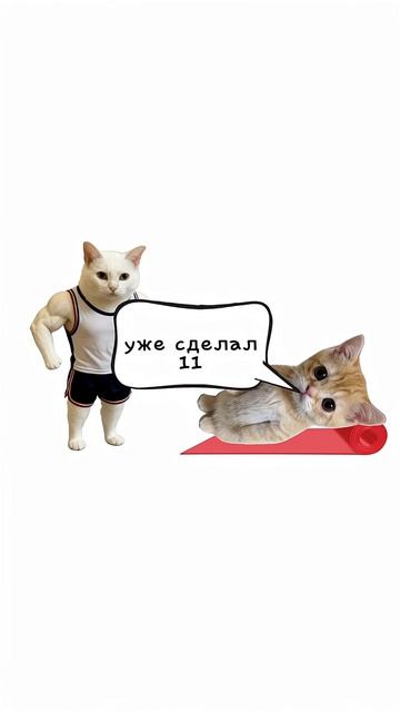 ВНИМАНИЕ ВНИМАНИЕ  я сделаю на сто или 50 потпишеков большое видио на 25 минут и там оно очень интер