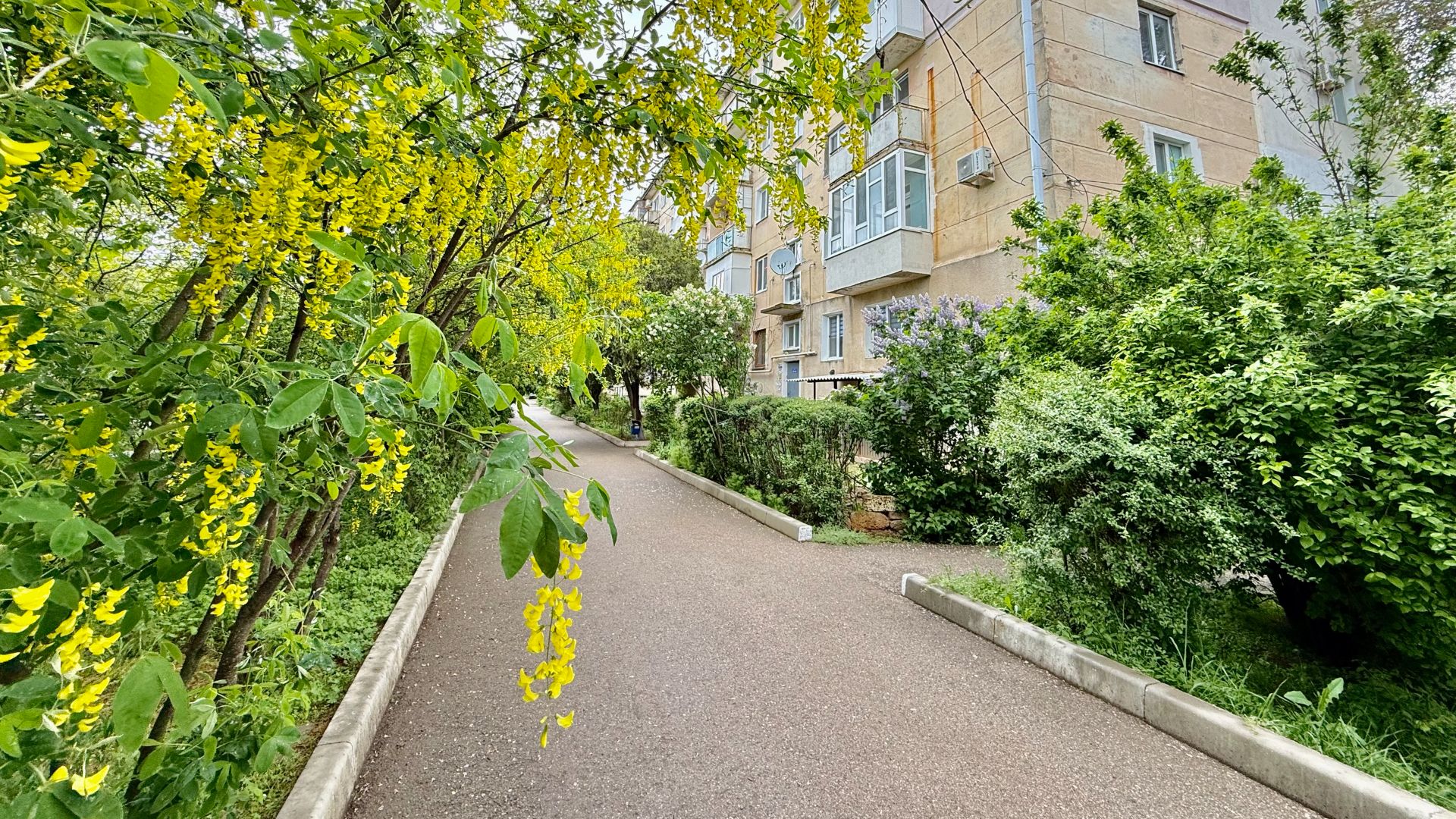 Квартира у моря, пгт.Новофедоровка, Крым.