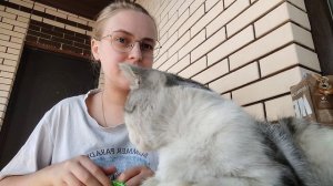 ВЛОГ ДЕГУСТАЦИЯ КОРМОВ🥣 На улице жара☀️