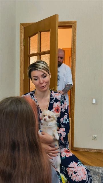 спалился