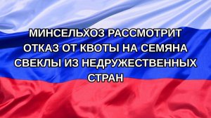 |Н. РФ| Минсельхоз рассмотрит отказ от квоты на семяна свеклы из недружественных стран