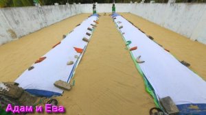 Лунные и солнечные циклы и Ведический Пост