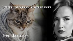 🥀 «Один мой друг подбирает бездомных кошек» / Стихи – Дана Сидерос / Читает – Анна Ларионова-Гладыш