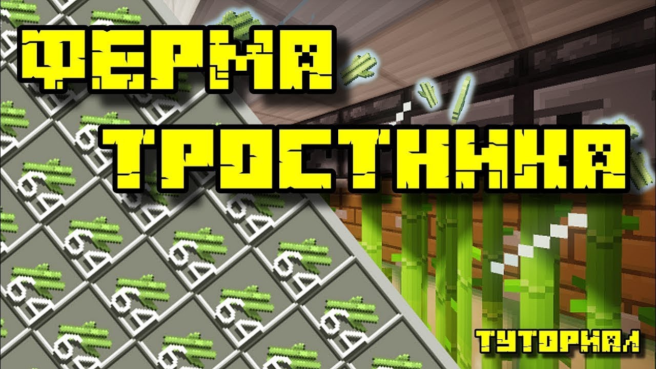 Как сделать автоматическую афк-ферму тростника? | ГЛАЗАМИ ИНЖЕНЕРА | АФК-ФЕРМА ТРОСТНИКА || SunRise