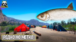 ОНИ ЛОВЛЯТСЯ РЕДКО НО МЕТКО #рр4