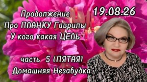 5 часть. ПРОДОЛЖИМ❗️Про планку Гаврилы❗️У кого какая ЦЕЛЬ❗️
