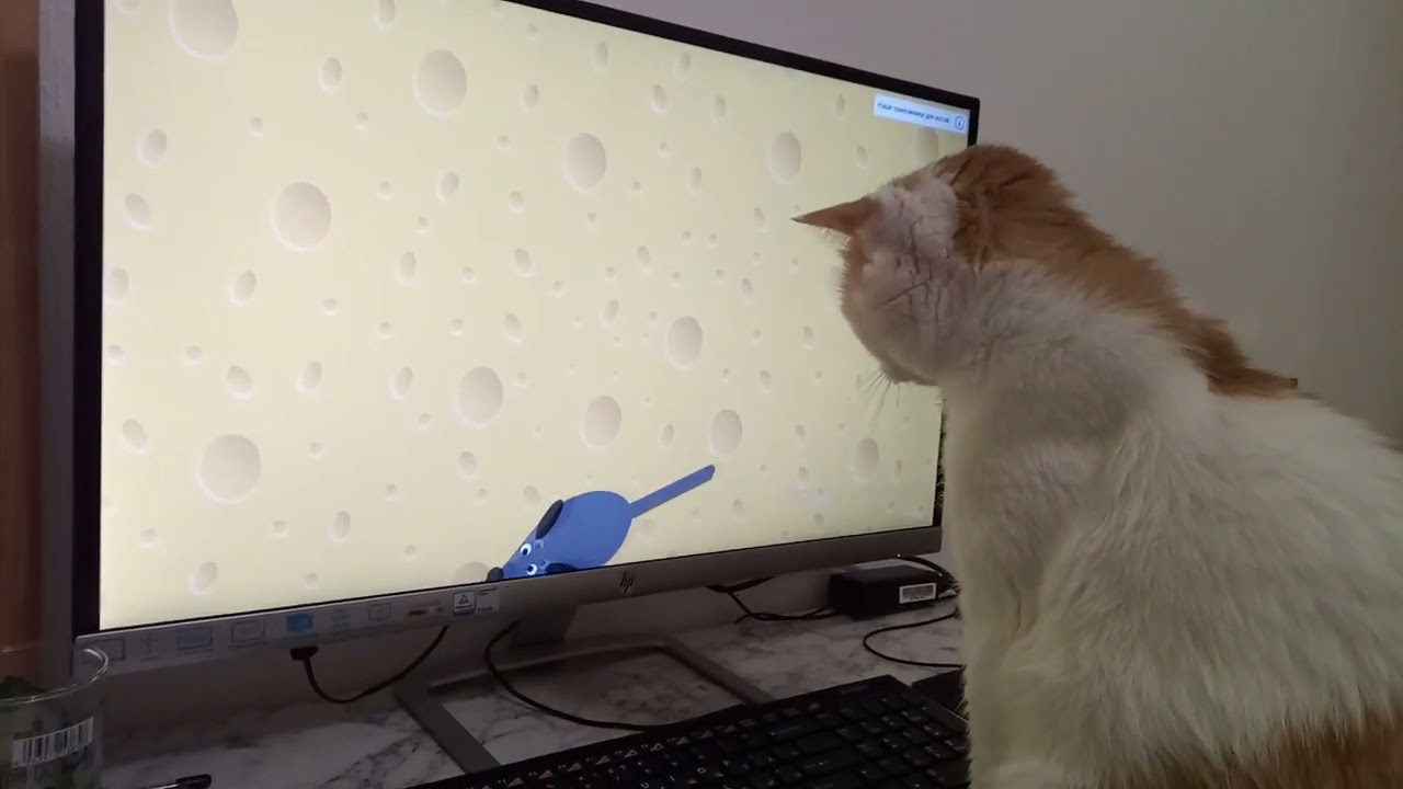 Кокос охотится на монитор
