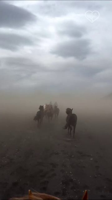 Путешествия на лошадях