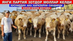 ЯНГИ ПАРТИЯ ЗОТДОР МОЛЛАР КЕЛДИ 10-АВГУСТ ХУСНИДДИН АКА НАРХЛАРНИ СИНДИРДИ !!! ХОРАЗМ БОЗОР