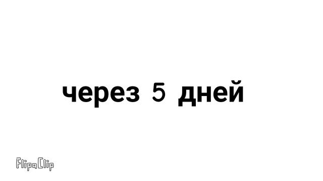 5 дней...