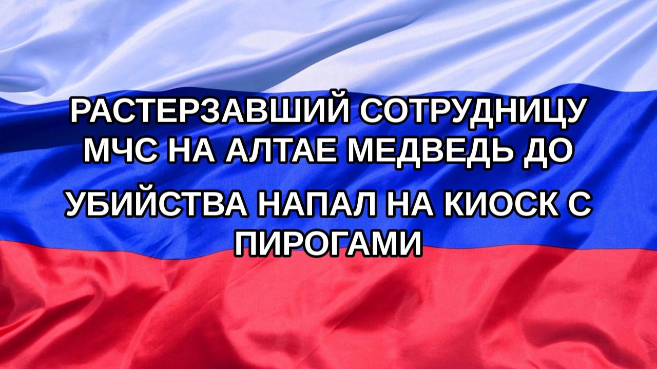 |Н. РФ| Растерзавший сотрудницу МЧС на Алтае медведь до убийства напал на киоск с пирогами