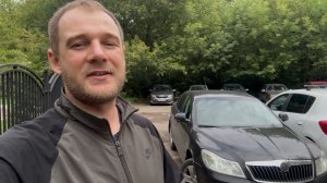 Шкода Октавия а 5. Устранил скрип стеклоподъемников. Будни в гараже