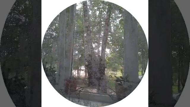 19-08-2026 доброе утро с праздником яблочный спас  здоровья