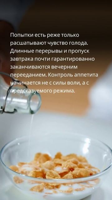 Режим питания и сытость: какие привычки помогают поддерживать стабильный аппетит