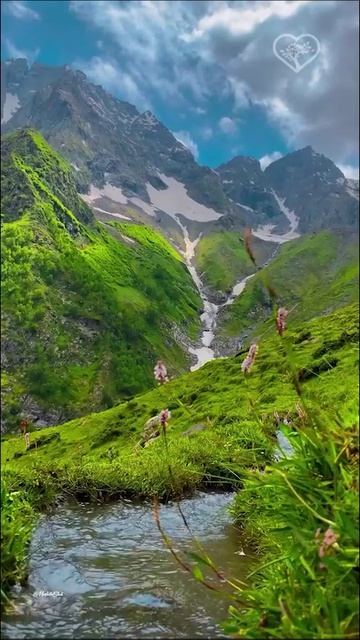 Луга Тургил, долина Налтар 😍🏔️