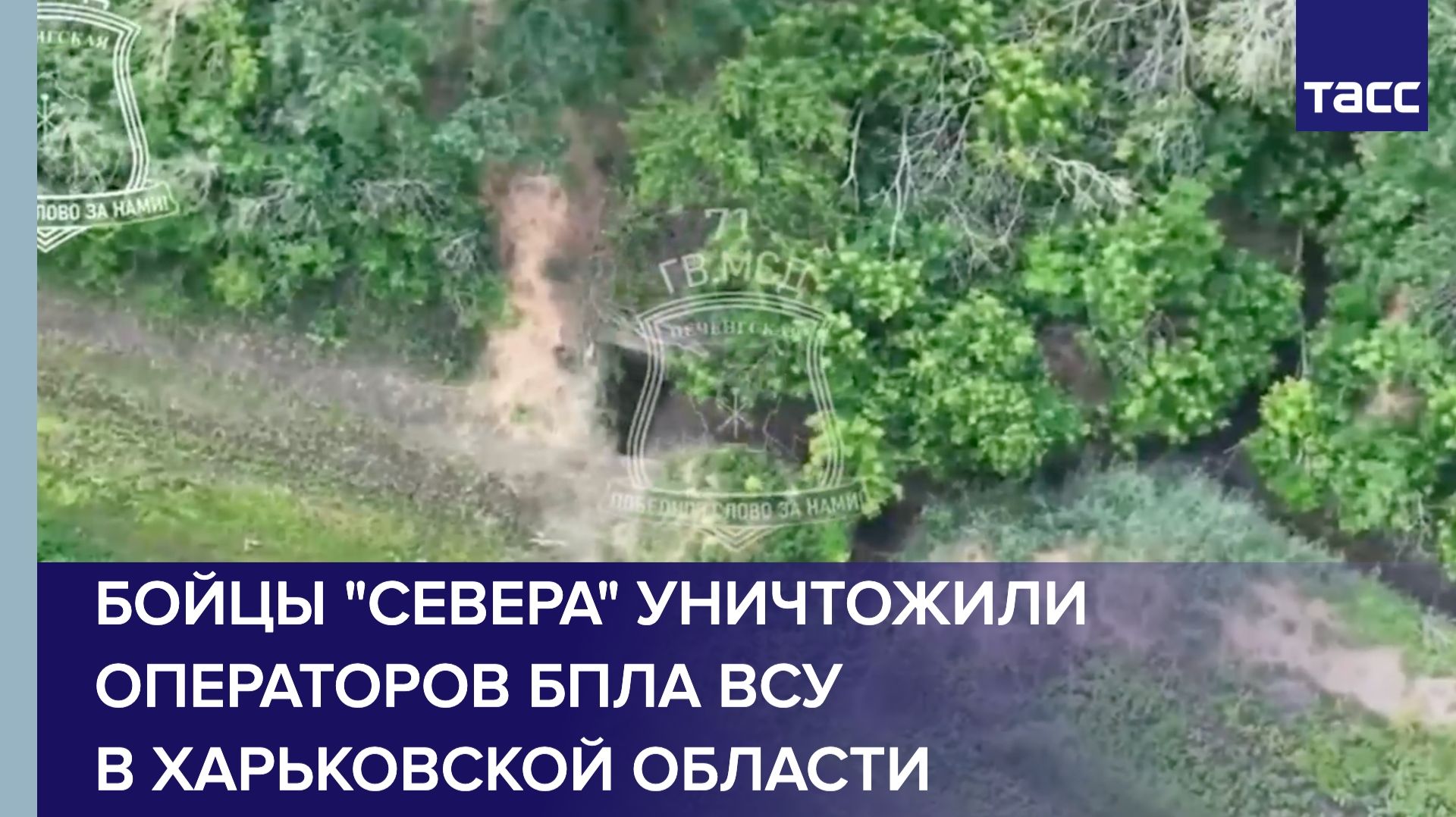 Бойцы 